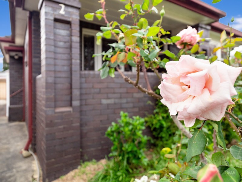 2 Johnson Avenue, Dulwich Hill NSW 2203