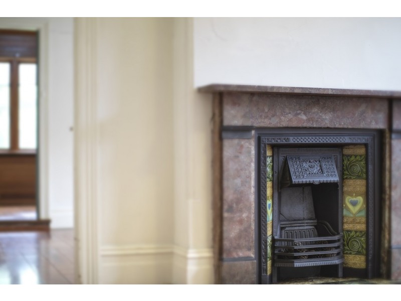 31 Searl Street, Petersham NSW 2049