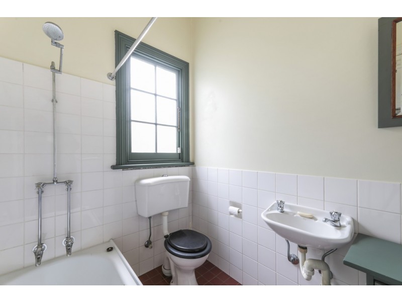 31 Searl Street, Petersham NSW 2049