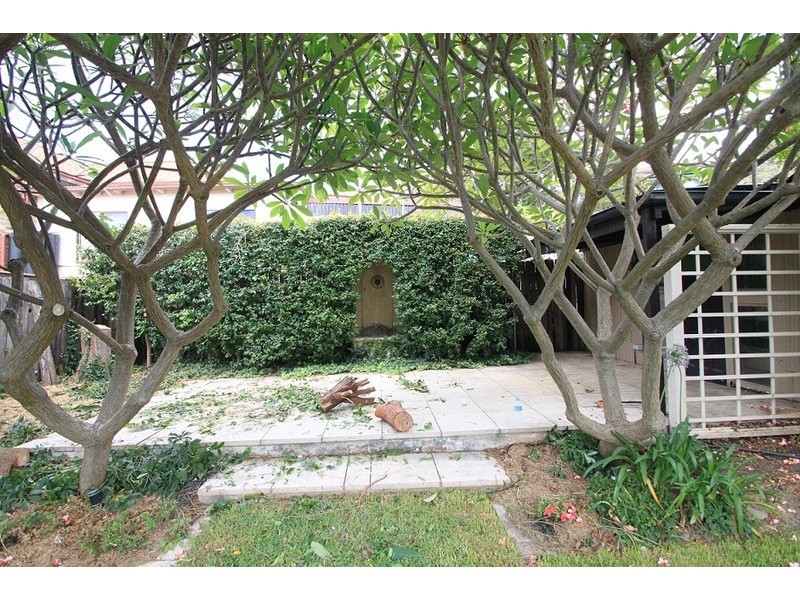 24 Leofrene Avenue, Marrickville NSW 2204