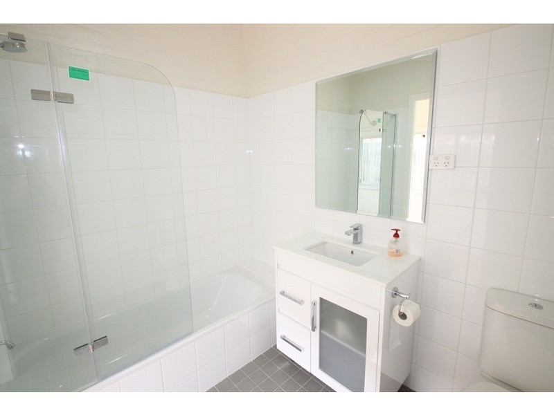 119 Elizabeth Street, Ashfield NSW 2131