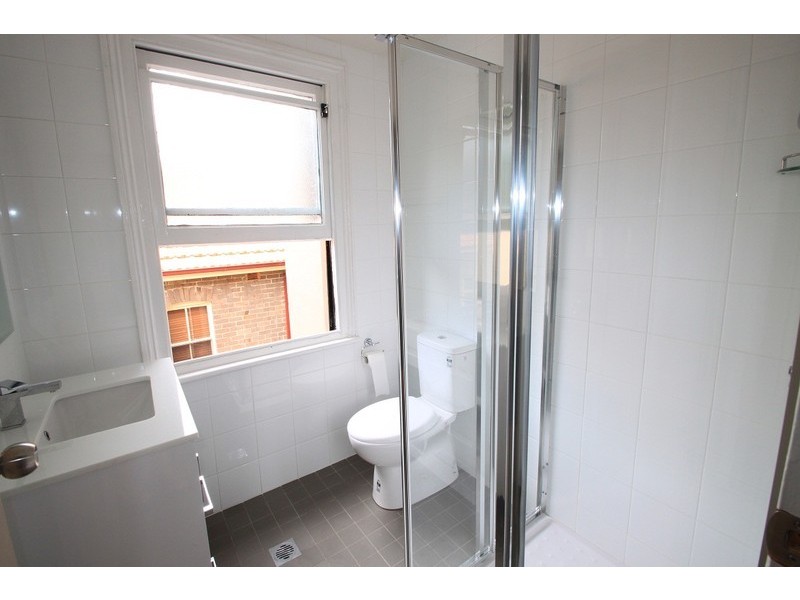 119 Elizabeth Street, Ashfield NSW 2131