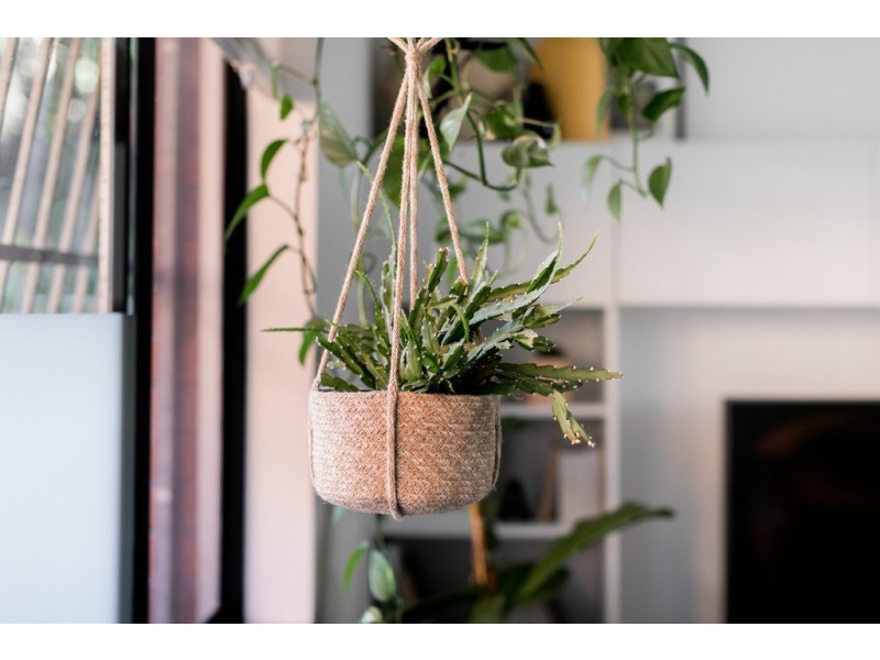 4/69 Warren Road, Marrickville NSW 2204