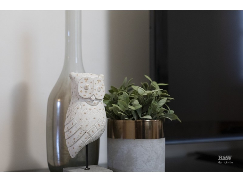 2 Neville Street, Marrickville NSW 2204