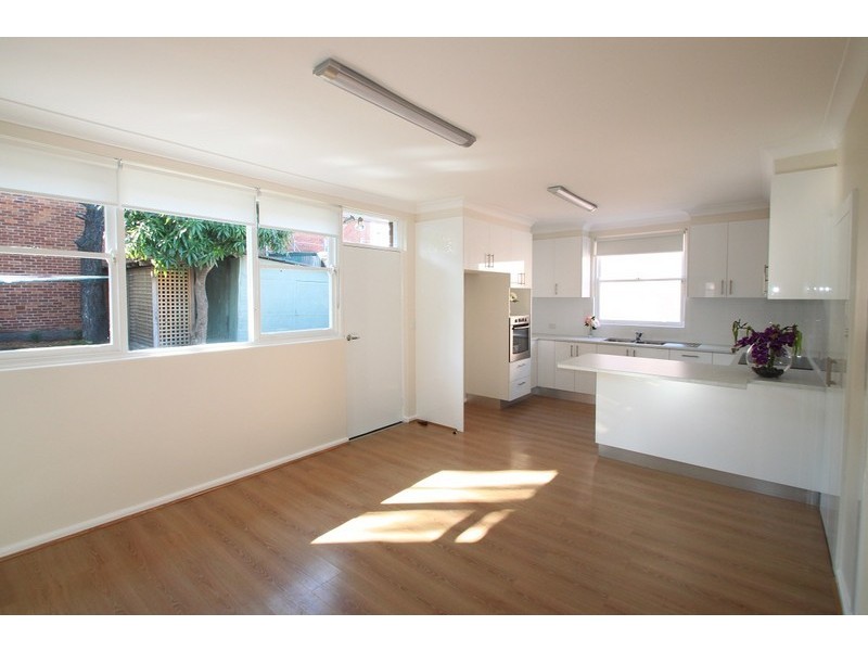 115 Sydenham Road, Marrickville NSW 2204