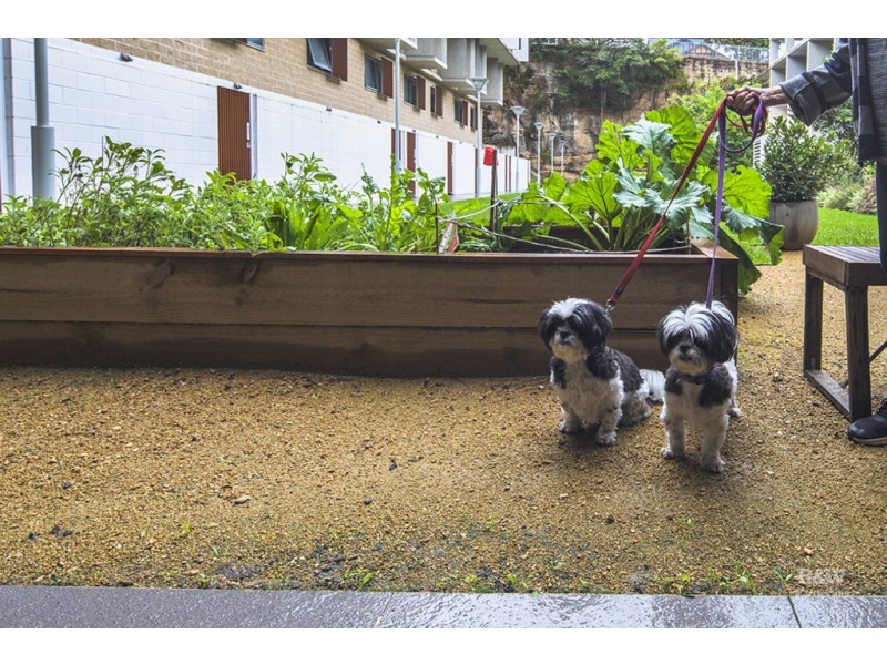 52/525 Illawarra Road, Marrickville NSW 2204