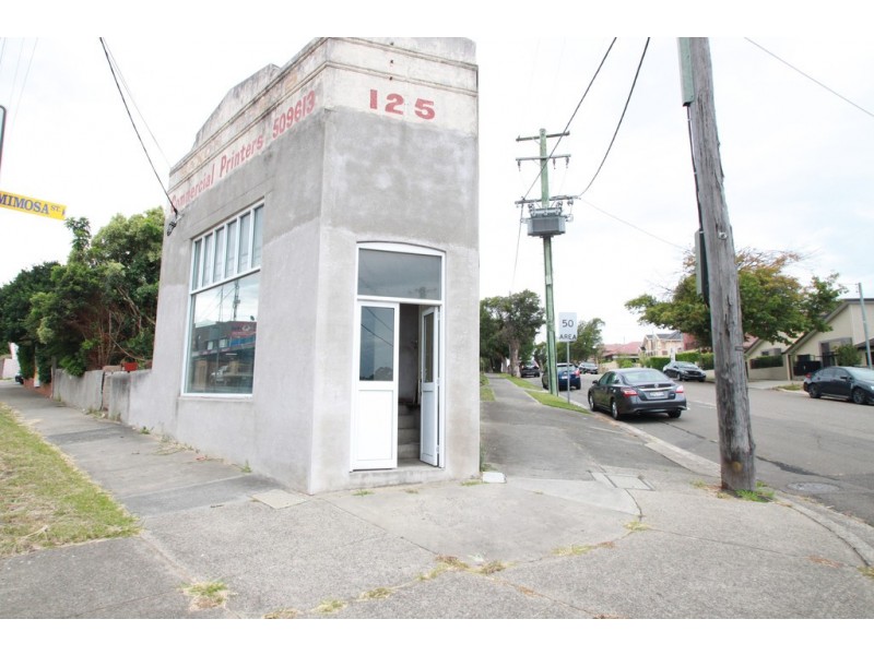 125 Stoney Creek Road, Bexley NSW 2207