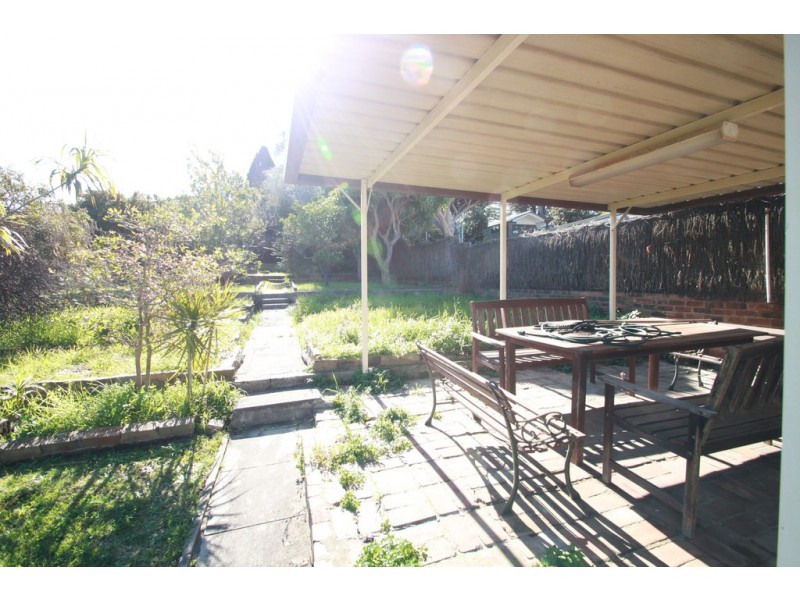 17 Morgan Street, Earlwood NSW 2206