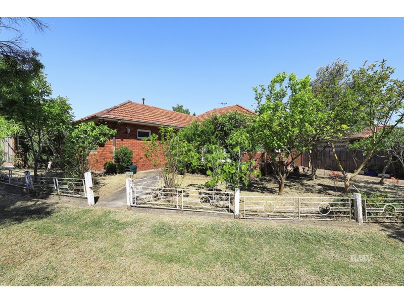 18 Schofield Avenue, Earlwood NSW 2206