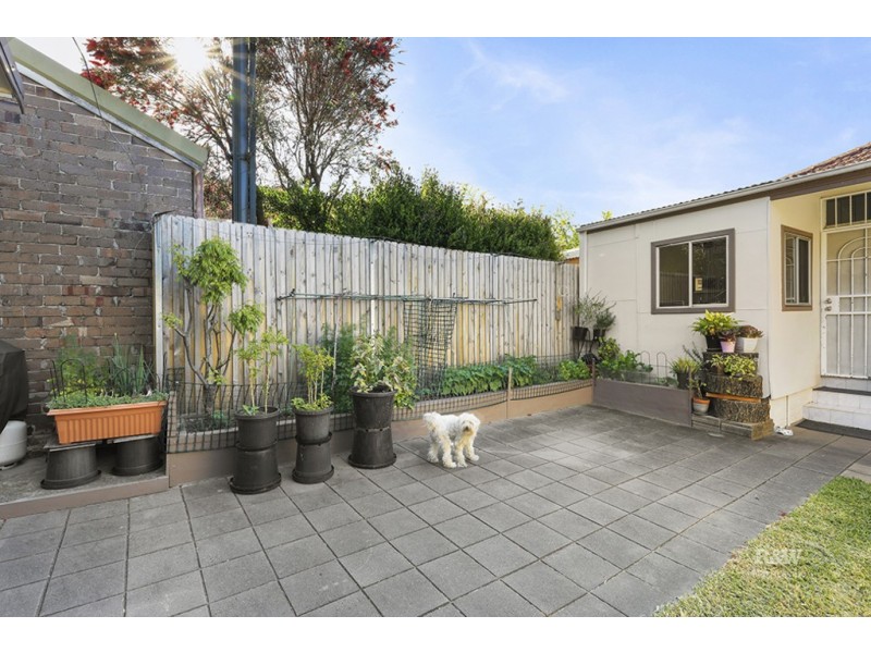 24 Porter Avenue, Marrickville NSW 2204