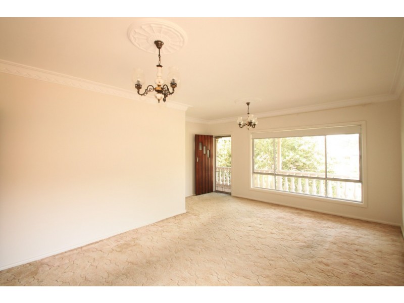 49a Banks Road, Earlwood NSW 2206