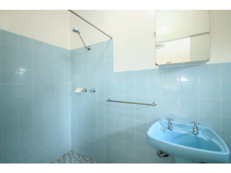 49a Banks Road, Earlwood NSW 2206