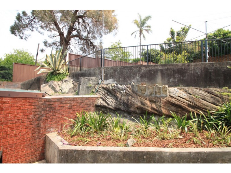 49a Banks Road, Earlwood NSW 2206