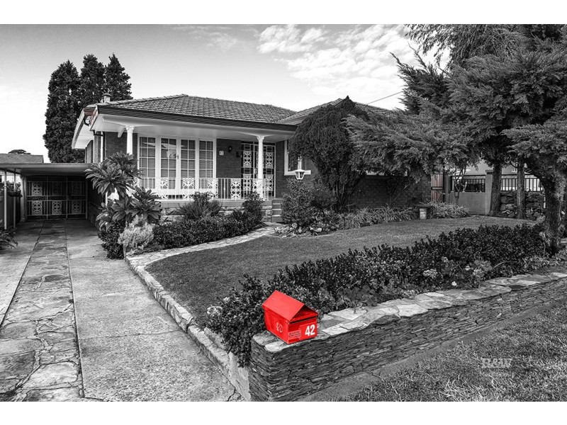 42 Staples Street, Kingsgrove NSW 2208