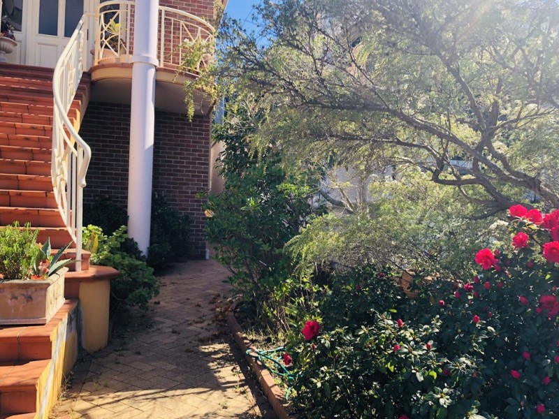 36A Starkey Street, Hurlstone Park NSW 2193