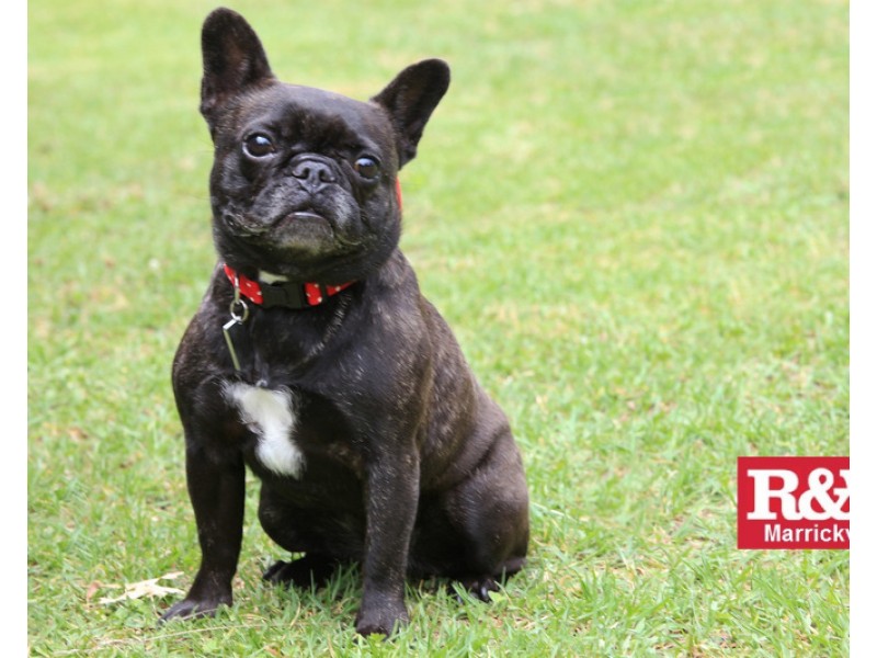 34/20 Close Street, Canterbury NSW 2193