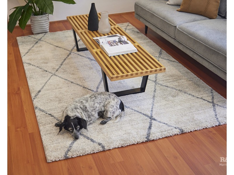 11/367 New Canterbury Road, Dulwich Hill NSW 2203