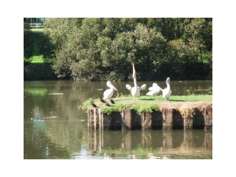 4/14a Hurlstone Avenue, Hurlstone Park NSW 2193