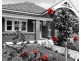 46 Canonbury Grove, Dulwich Hill NSW 2203