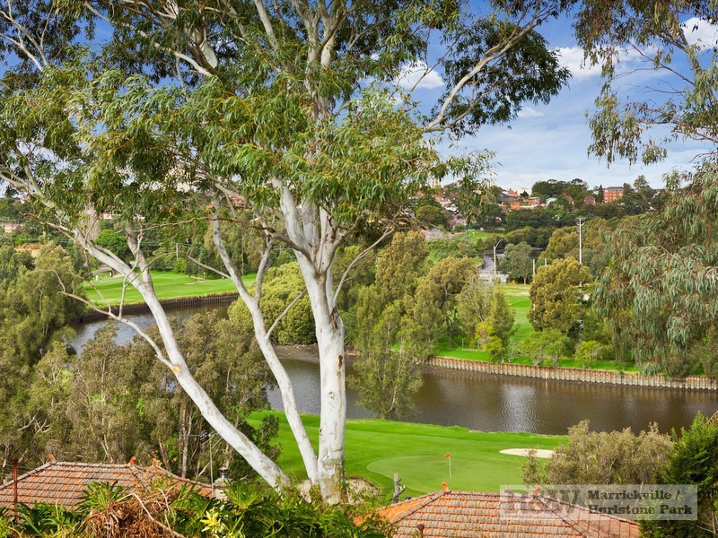 44 Starkey Street, Hurlstone Park NSW 2193