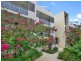 19/11 Wallace Street, Marrickville NSW 2204