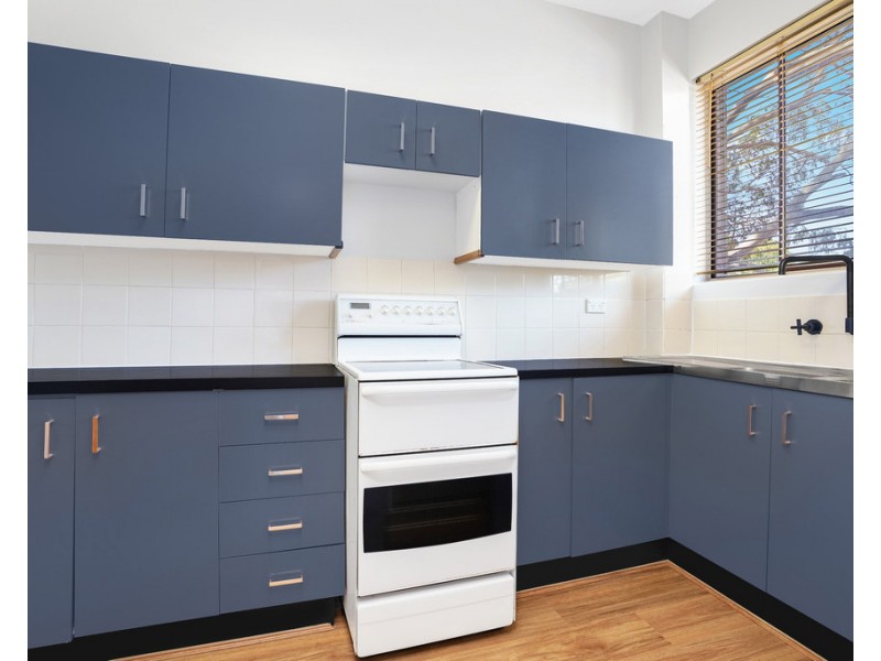 6/37 Harnett Avenue, Marrickville NSW 2204