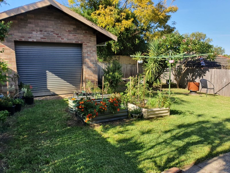 1/86 Canterbury Road, Hurlstone Park NSW 2193