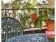 5/75 The Boulevarde, Dulwich Hill NSW 2203