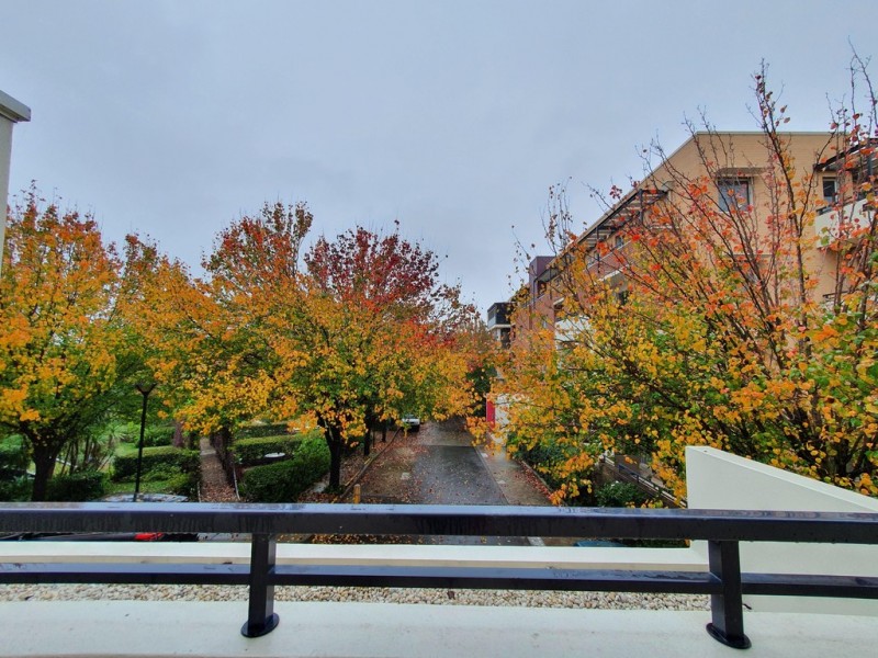 45/20 Close Street, Canterbury NSW 2193