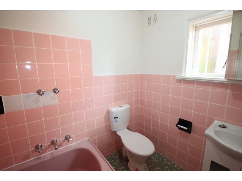 3/11 Dibbs Street, Canterbury NSW 2193