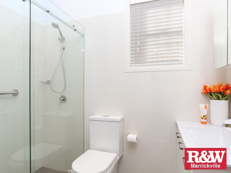 62 Despointes Street, Marrickville NSW 2204