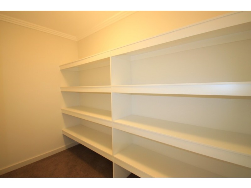 501/243-249 Canterbury Road, Canterbury NSW 2193