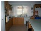 Woongarrah NSW 2259