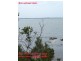 Rocky Point NSW 2259
