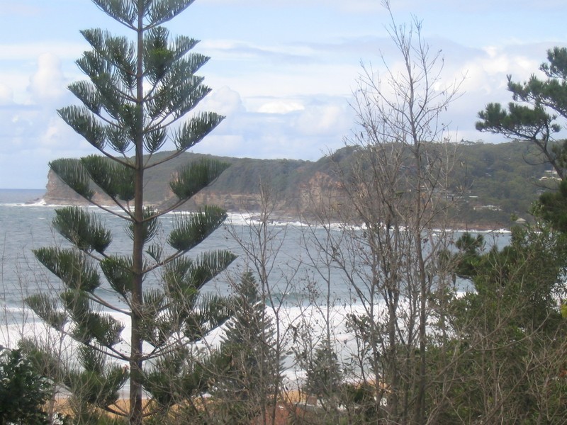 North Avoca NSW 2260