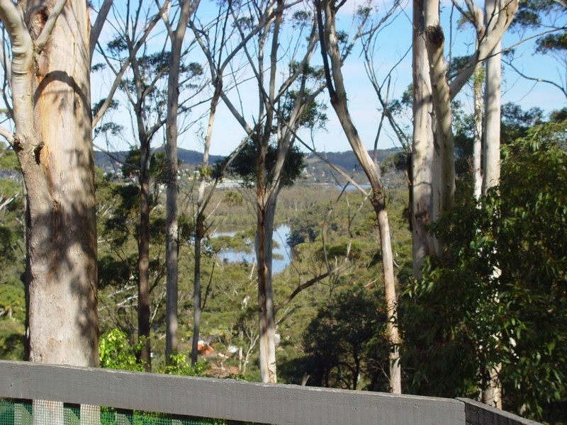 172 scenic highway, Terrigal NSW 2260