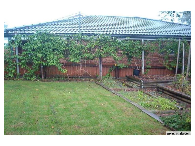 Terrigal NSW 2260