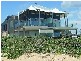 Wamberal NSW 2260