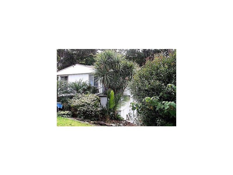 6 Brushbox, Wyoming NSW 2250