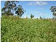 Springfield NSW 2250