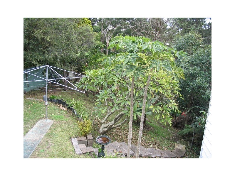 Terrigal NSW 2260
