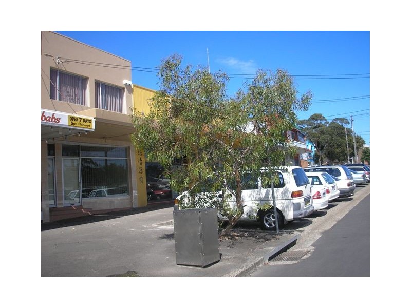 4 Blamey St, Revesby NSW 2212