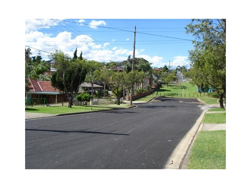 Mount Lewis NSW 2190