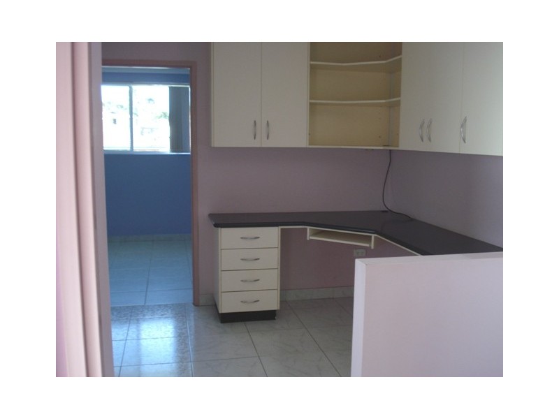 Mount Lewis NSW 2190