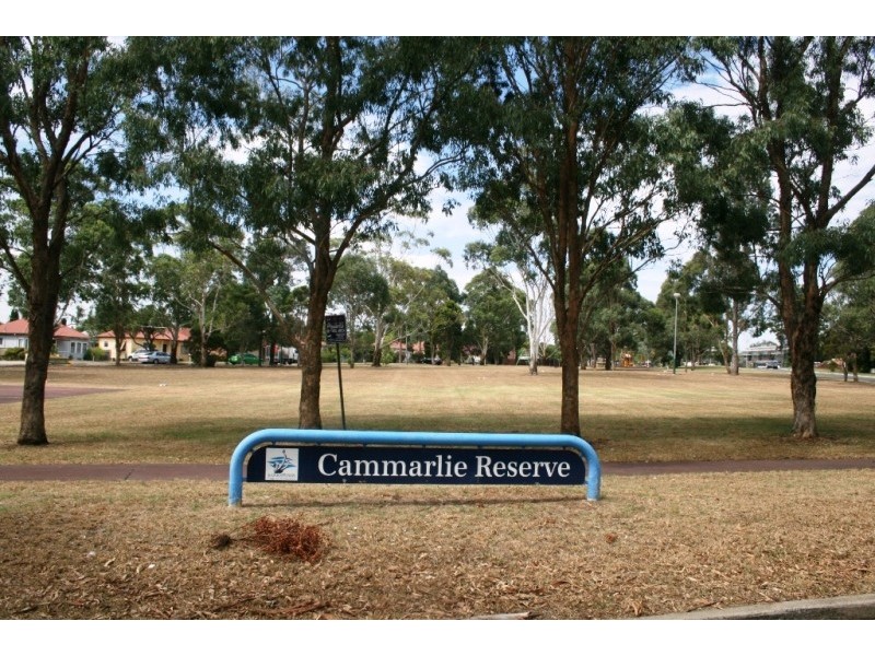 2 Fenton Street, Panania NSW 2213