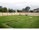 29 Paten Street, Revesby NSW 2212