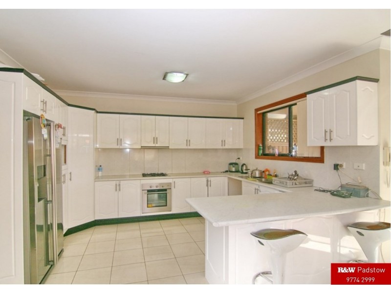 111 Beaconsfield Street, Revesby NSW 2212