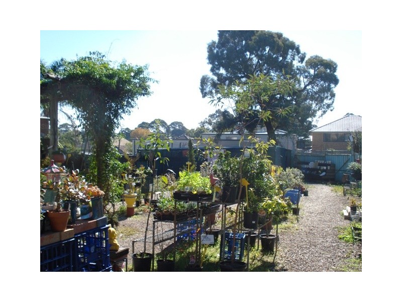 136 ALMA RD, Padstow NSW 2211