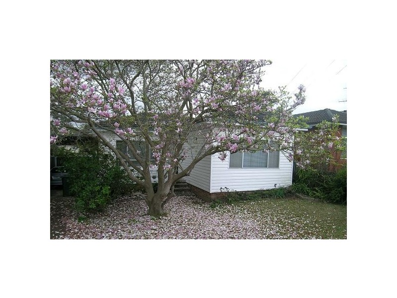 19 Faulkner Street, Old Toongabbie NSW 2146