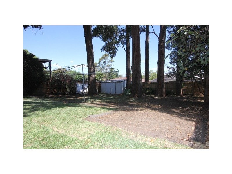 Winston Hills NSW 2153